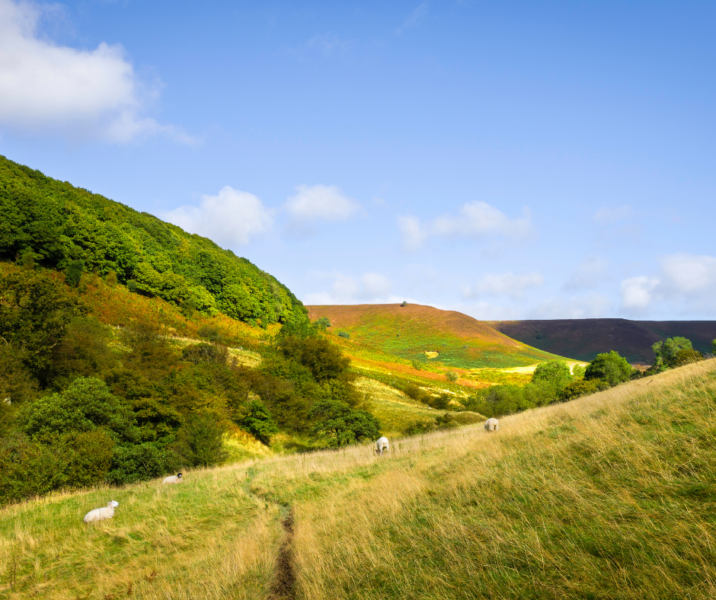 Places of interest near Scarborough