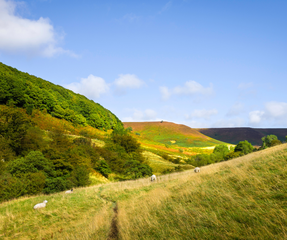 Places of interest near Scarborough