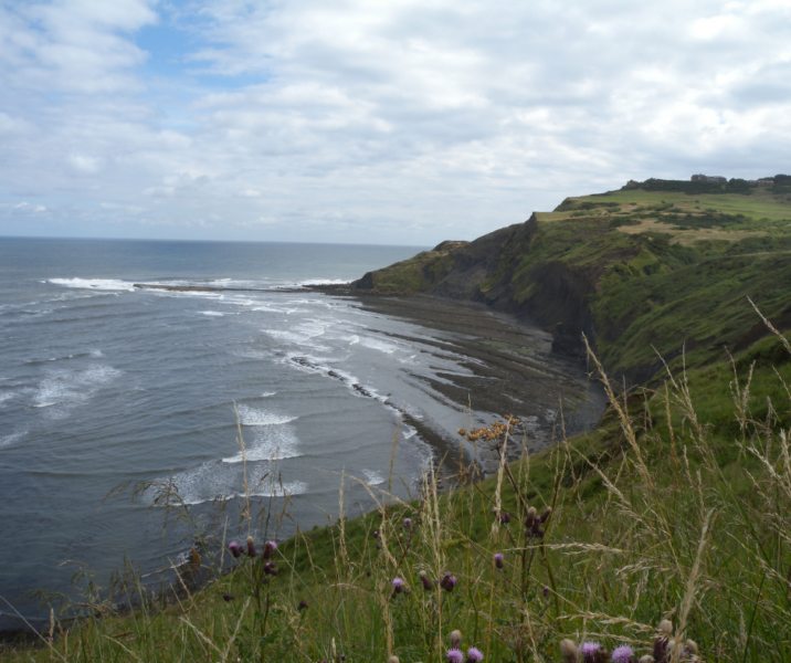 Ravenscar beach from the top