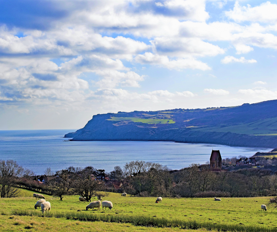 Ravenscar from the hill