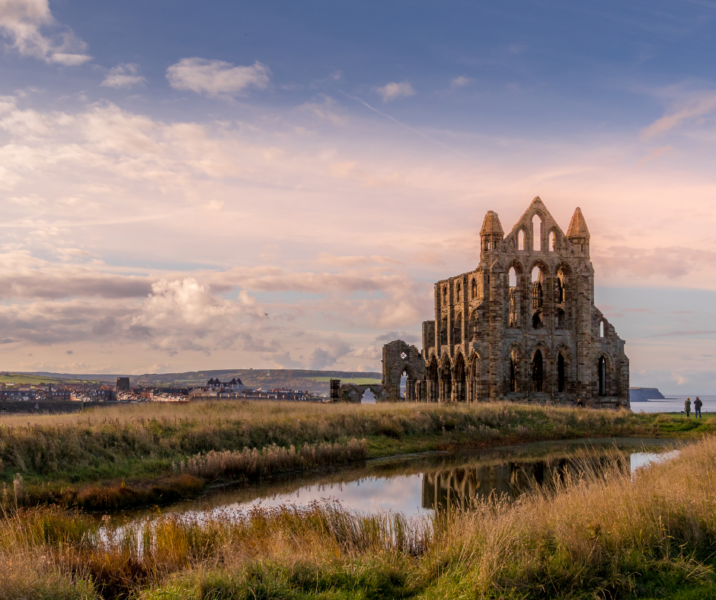 Whiby: ways to explore its wonders