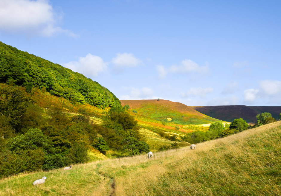 Hole of Horcum amphitheatre Places of interest near Scarborough