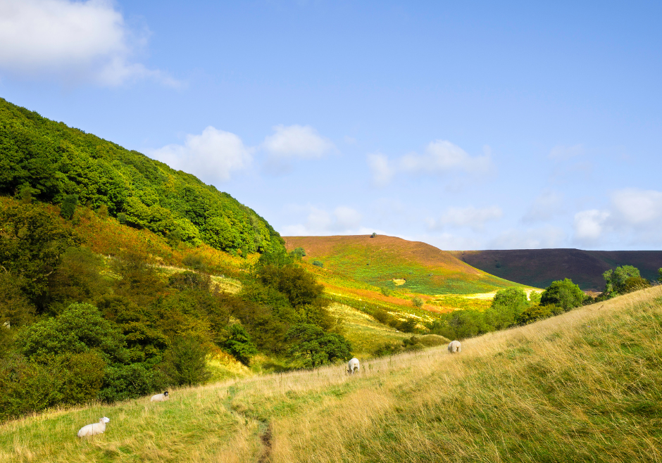 Places of interest near Scarborough