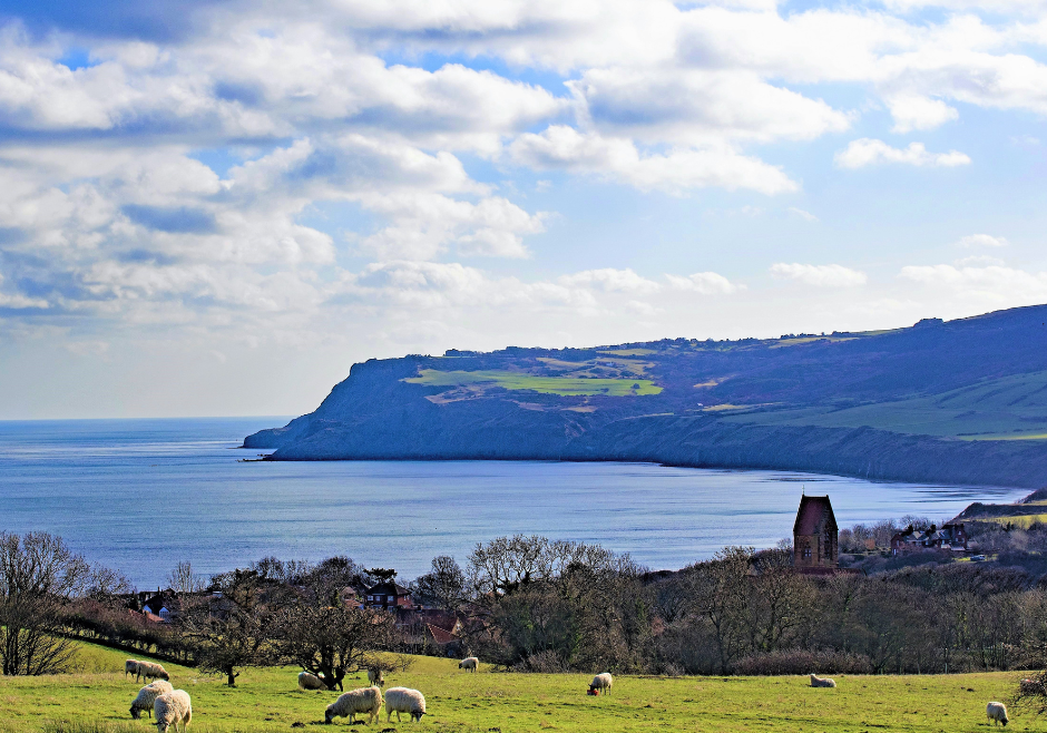 Ravenscar from the hill