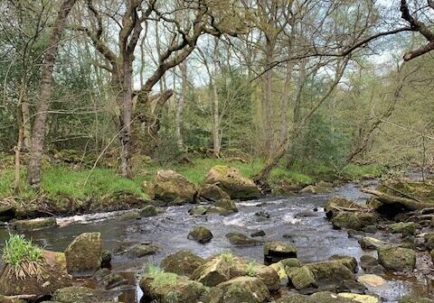 Water at Goathland surrounded by rocks