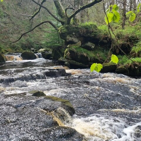 waterfall at Mallyan Spout